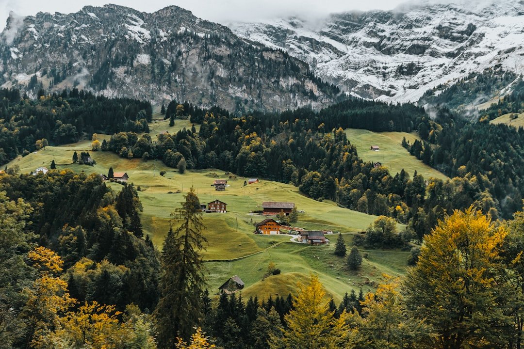 Feature Image