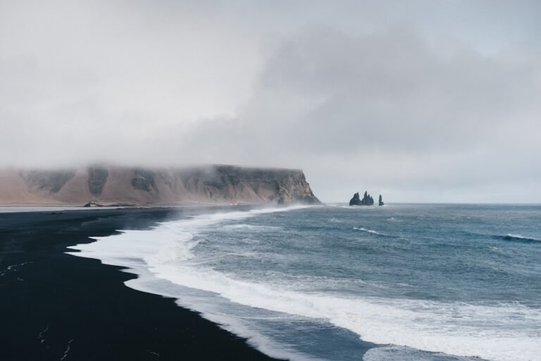 Feature Image