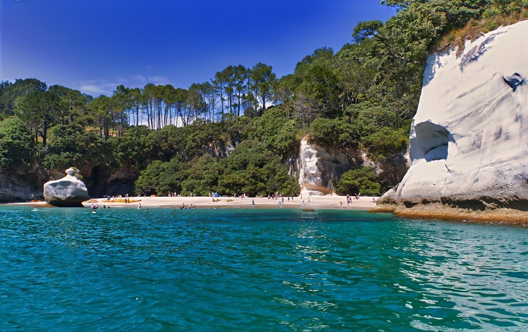 Feature Image